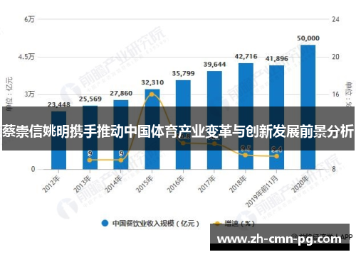 蔡崇信姚明携手推动中国体育产业变革与创新发展前景分析