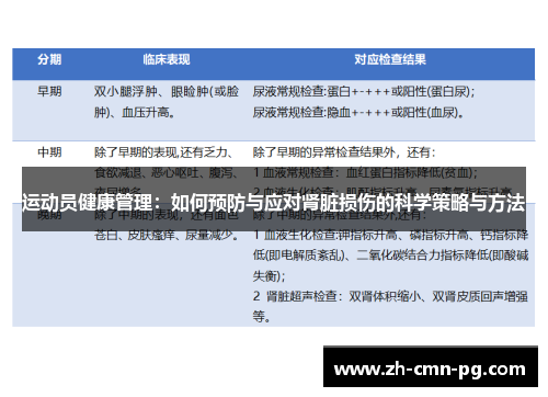 运动员健康管理：如何预防与应对肾脏损伤的科学策略与方法