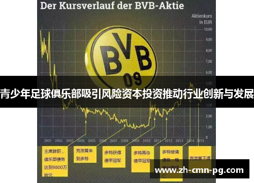 青少年足球俱乐部吸引风险资本投资推动行业创新与发展 青少年足球俱乐部吸引风险资本投资推动行业创新与发展