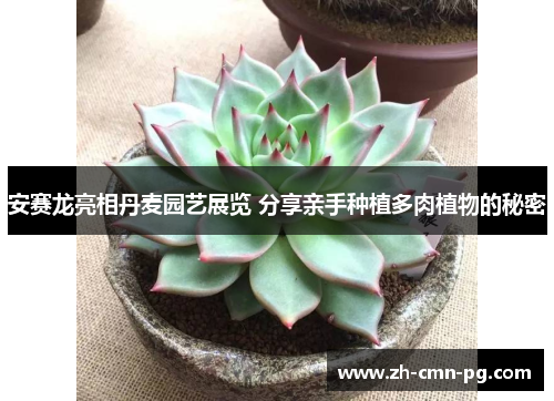 安赛龙亮相丹麦园艺展览 分享亲手种植多肉植物的秘密