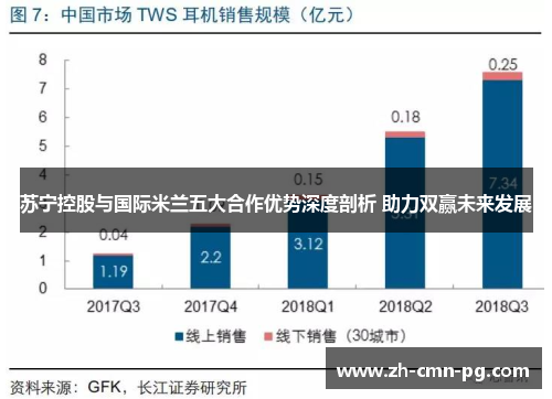 苏宁控股与国际米兰五大合作优势深度剖析 助力双赢未来发展